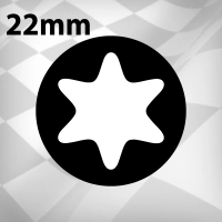 22 mm Torx bit