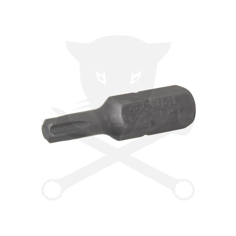 Bit torx 1/4" T20*25 mm BGS