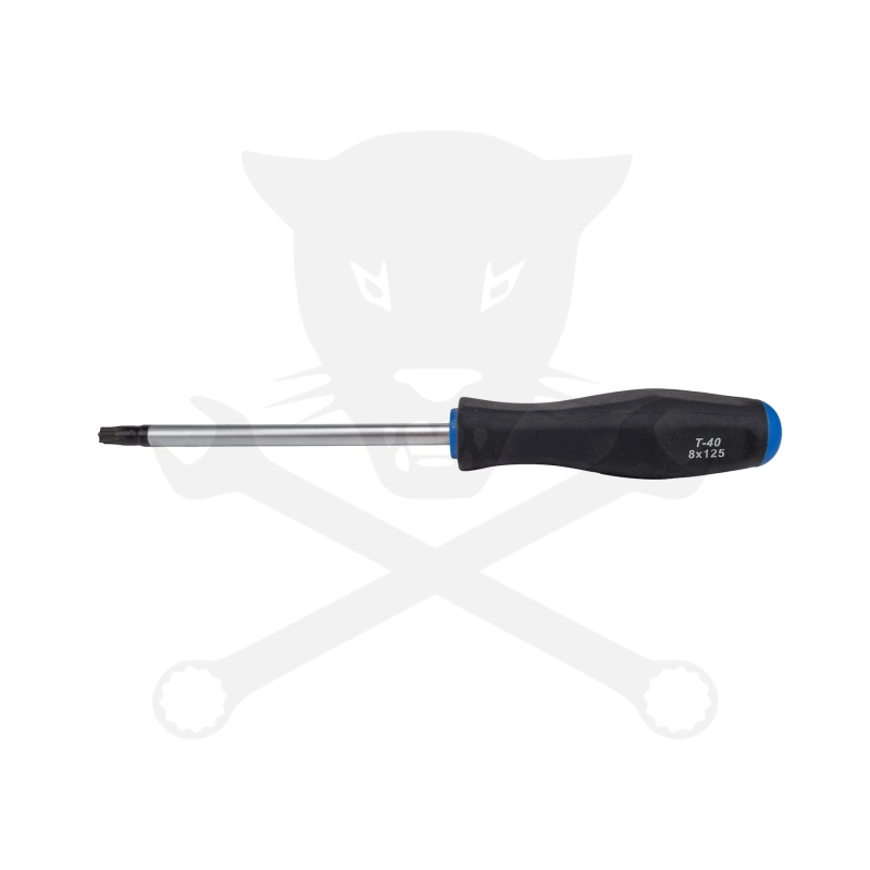 Csavarhúzó torx - lyukas - T40 - 125 mm - BGS