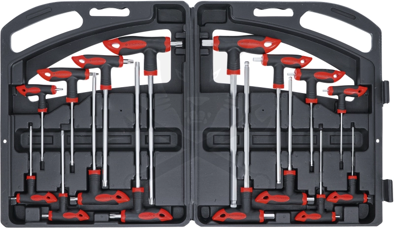 T-kulcs készlet imbusz és Torx 16-részes készlet -BGS