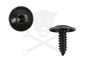 Acél rögzítőcsavar Torx kialakítású fejjel VW gépk. 10 db -