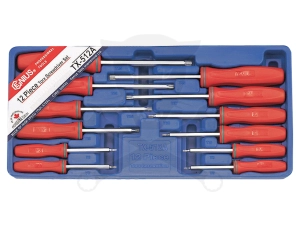 Tálcás Genius csavarhúzó készlet TORX - LYUKAS - 12 db-os - 1/3