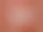 Web-logo_Fein